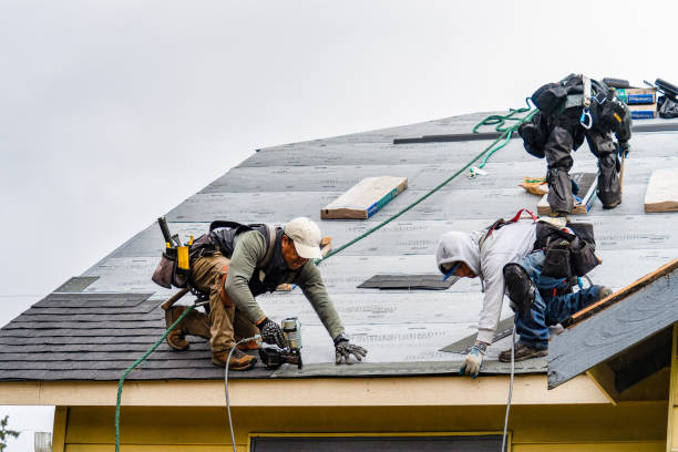 Professional Roofing technician working in Shevlin, MN